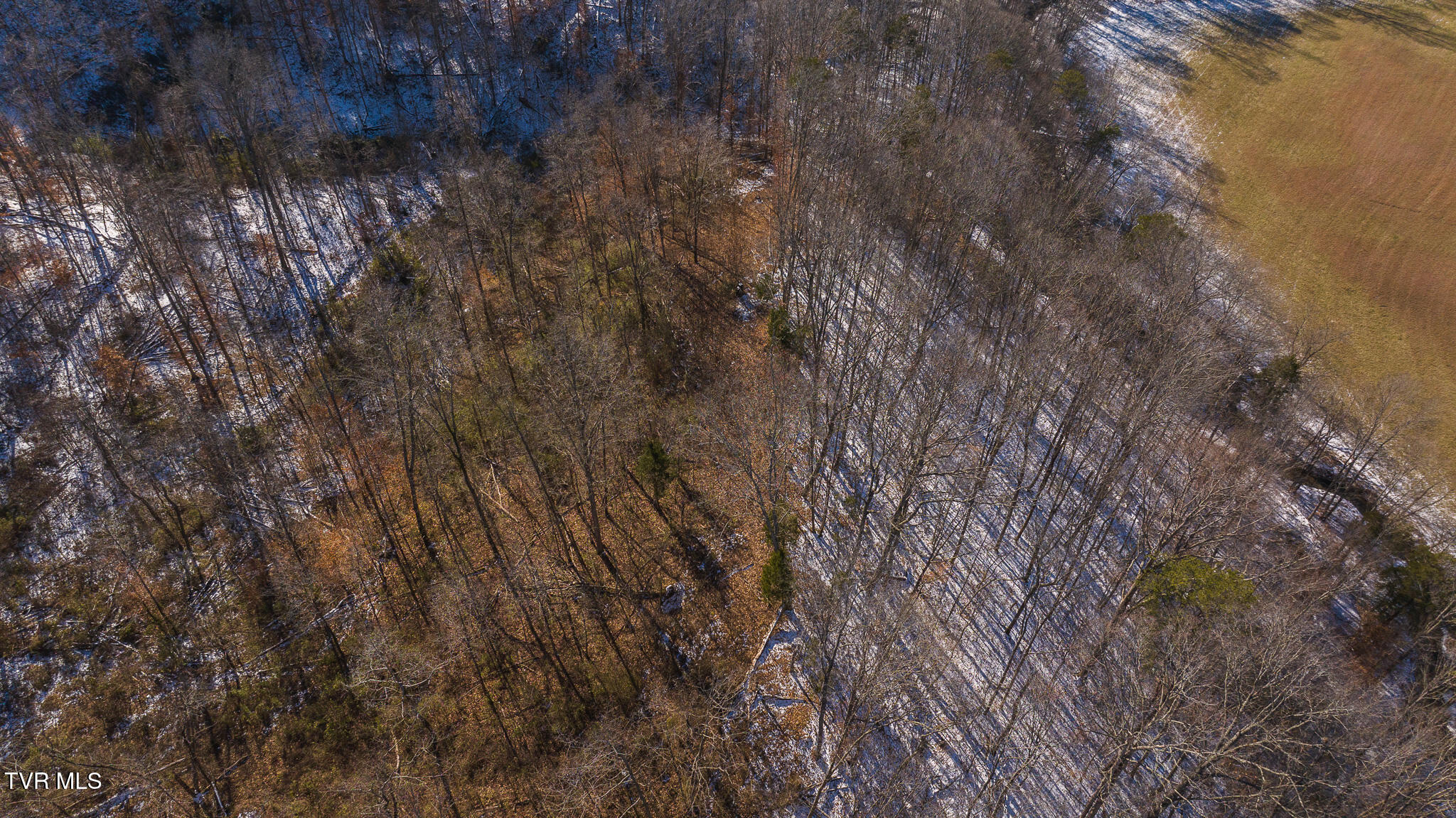 0 Long Bend Road Rogersville, TN 37857 - Photo 27 of 46 DJI_20250115140701_0503_D