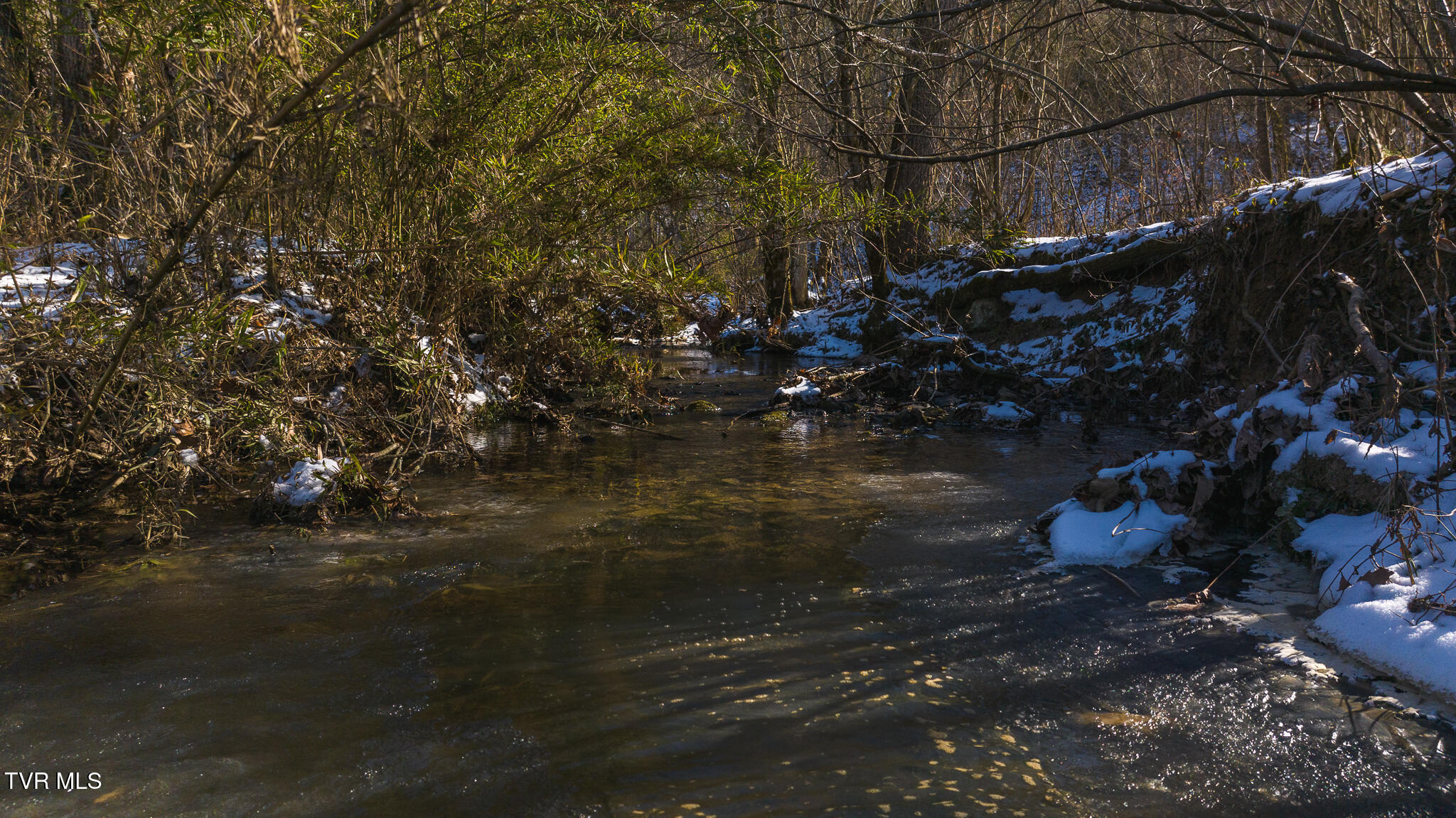 0 Long Bend Road Rogersville, TN 37857 - Photo 10 of 46 DJI_20250115141039_0520_D