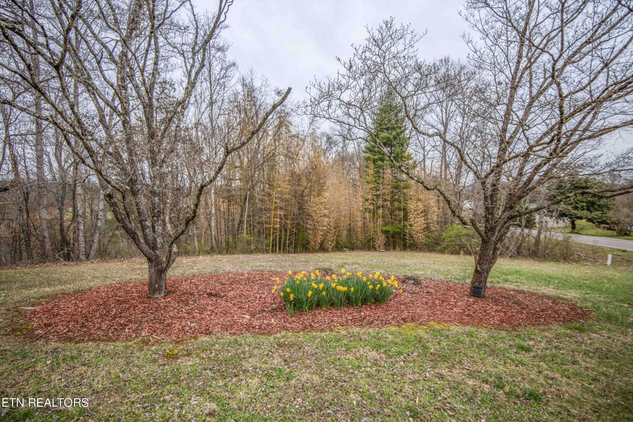 1280 Laurel Road Clinton, TN 37716 - Photo 32 of 36 a view of a yard with plants and trees