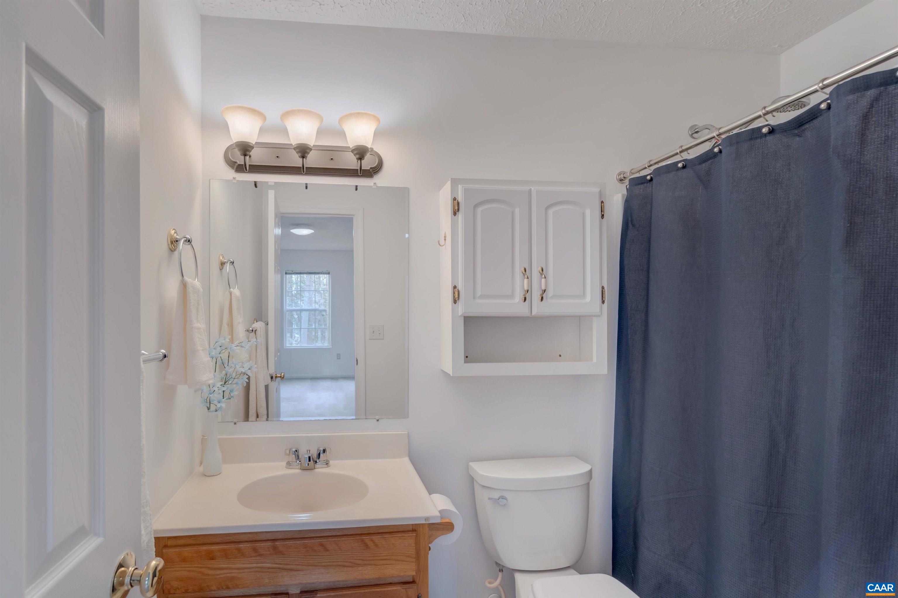415 Rudolph Street Ruckersville, VA 22968 - Photo 20 of 38 a bathroom with a sink a toilet and shower