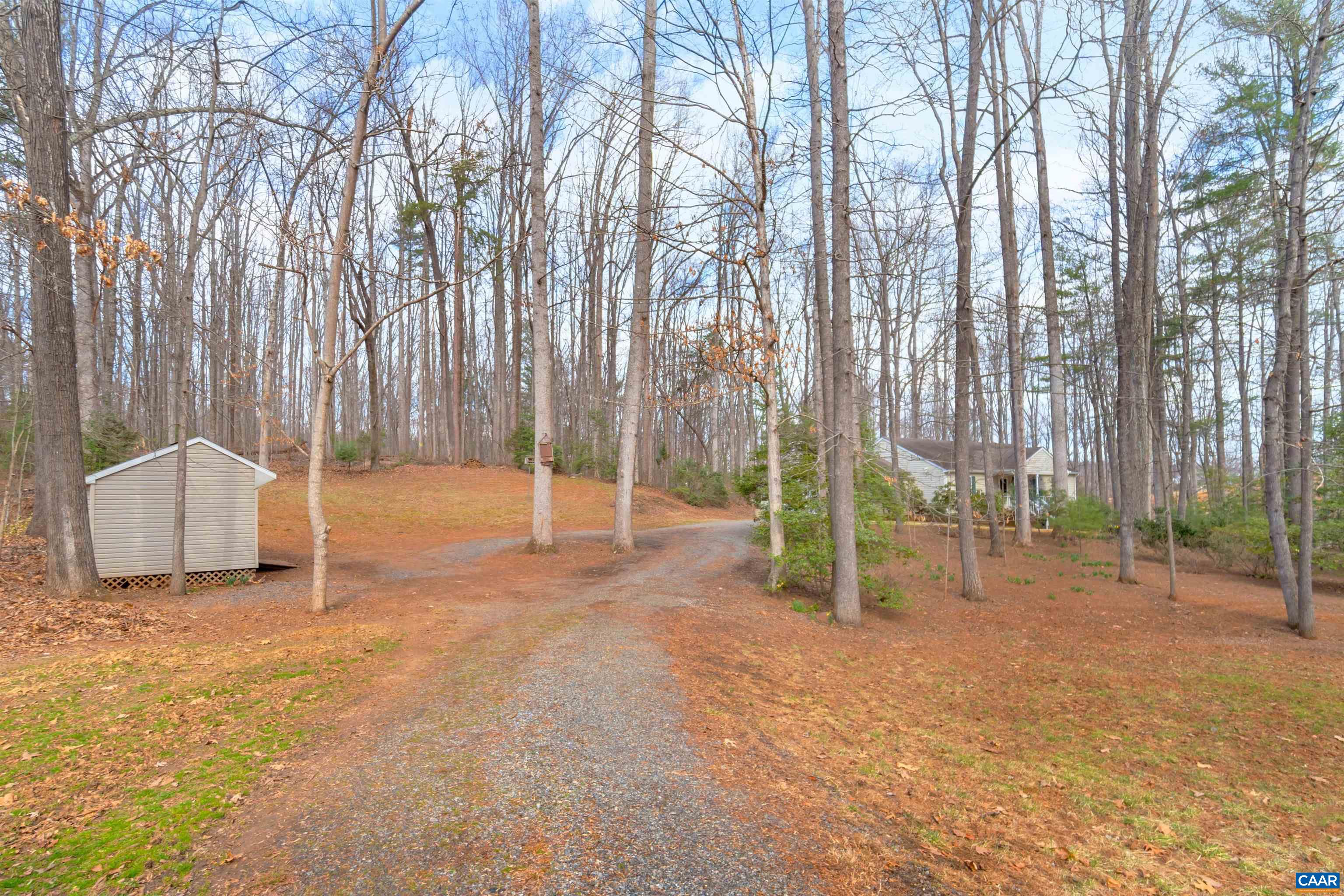 415 Rudolph Street Ruckersville, VA 22968 - Photo 3 of 38 a backyard of a house with lots of tall trees