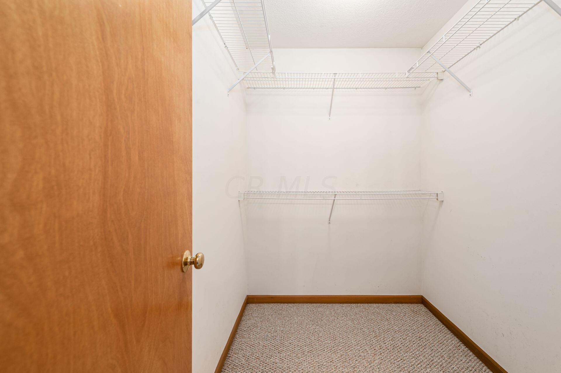 5789 Blacks Road Southwest Pataskala, OH 43062 - Photo 29 of 60 Primary Walk-in Closet