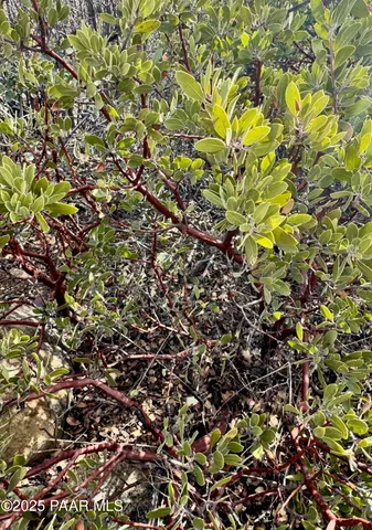 a view of an ocean and a mountain