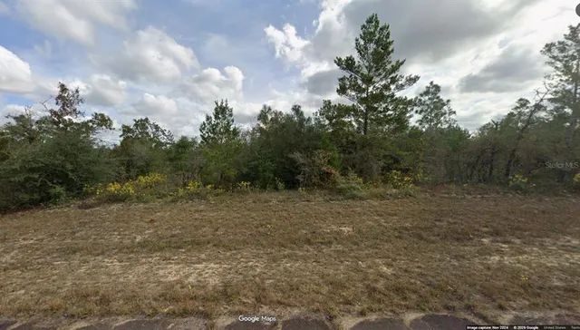 a view of a field with trees in the background
