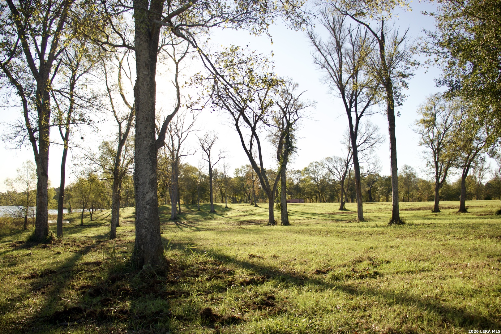 5145 Private Road Palestine, TX 75801 - Photo 3 of 10 a view of outdoor space with garden view