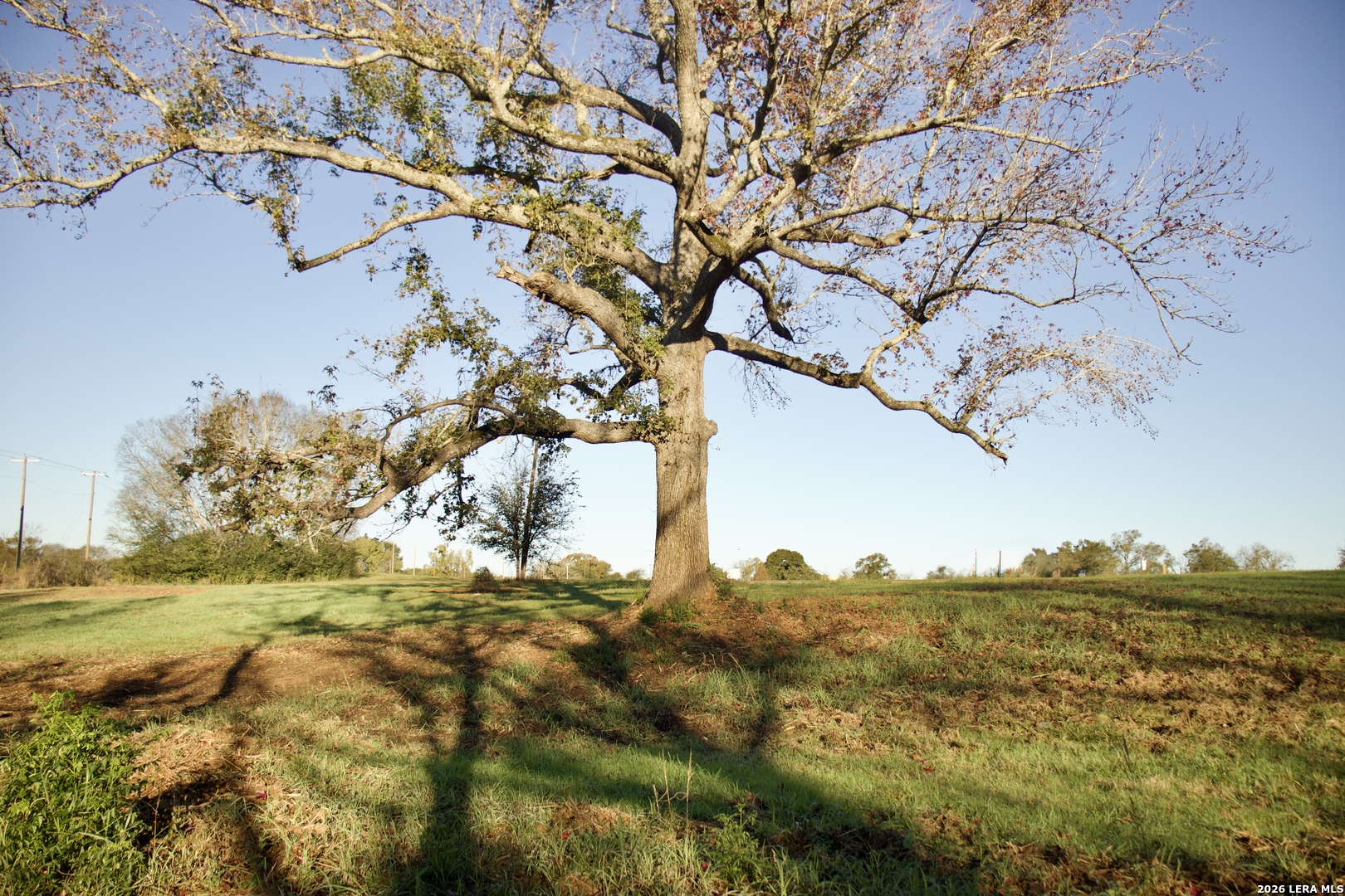 5145 Private Road Palestine, TX 75801 - Photo 8 of 10 a view of a yard