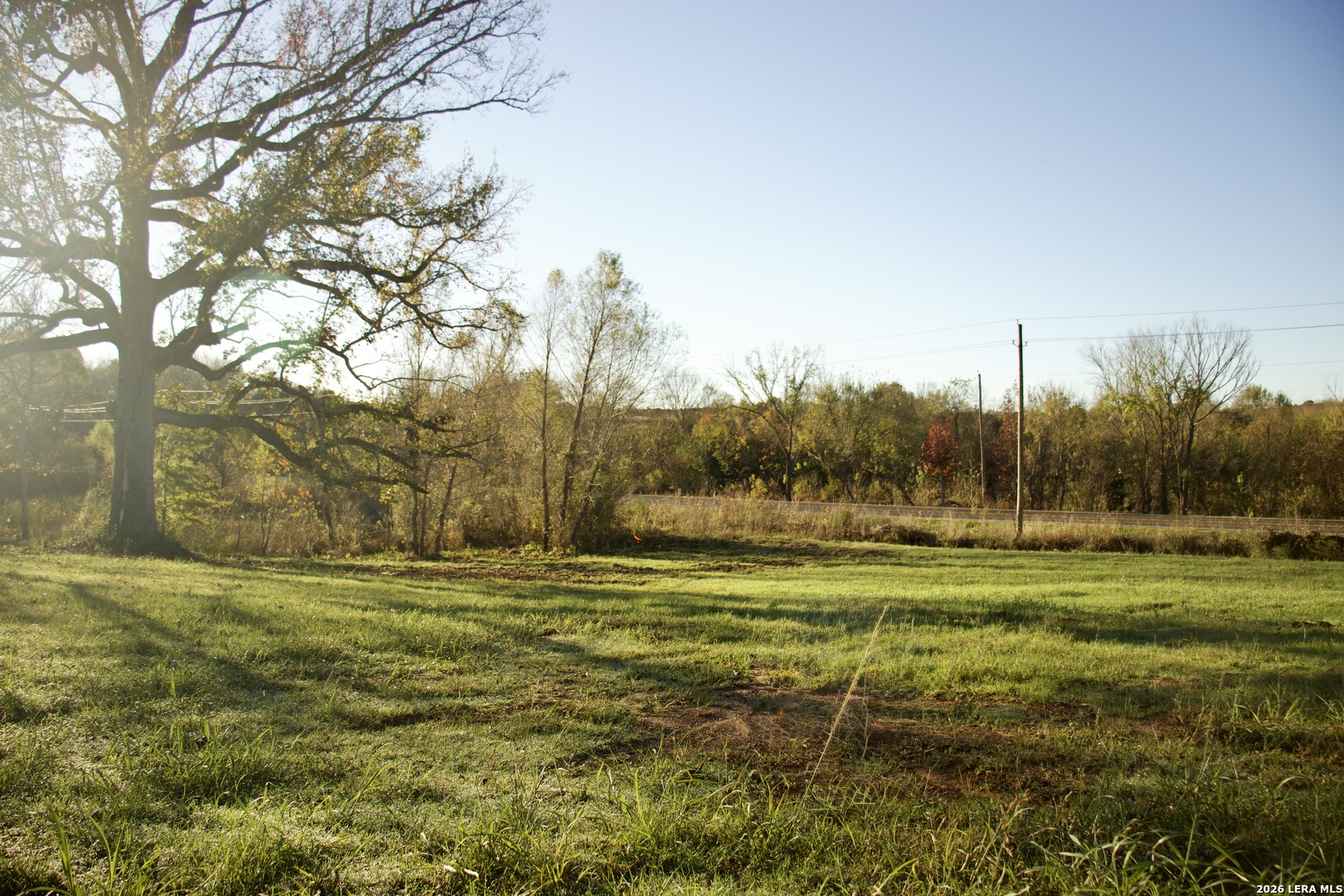 5145 Private Road Palestine, TX 75801 - Photo 9 of 10 a view of a big yard with an trees