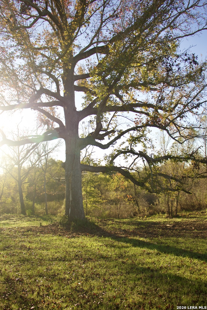 5145 Private Road Palestine, TX 75801 - Photo 10 of 10 a view of a yard with an outdoor space