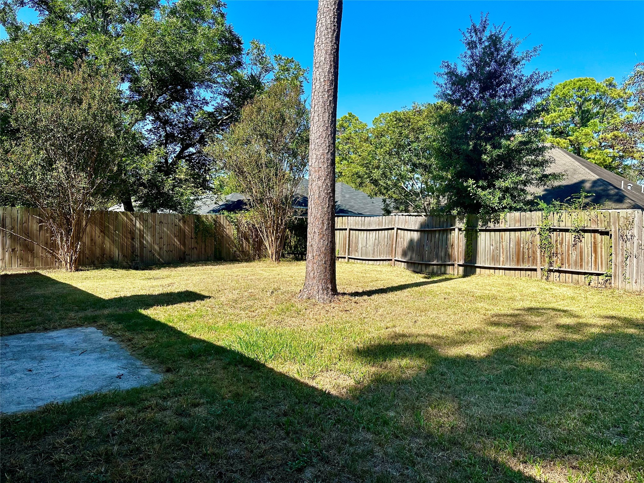 4927 Adonis Drive Spring, TX 77373 - Photo 11 of 11 a swimming pool with trees in the background