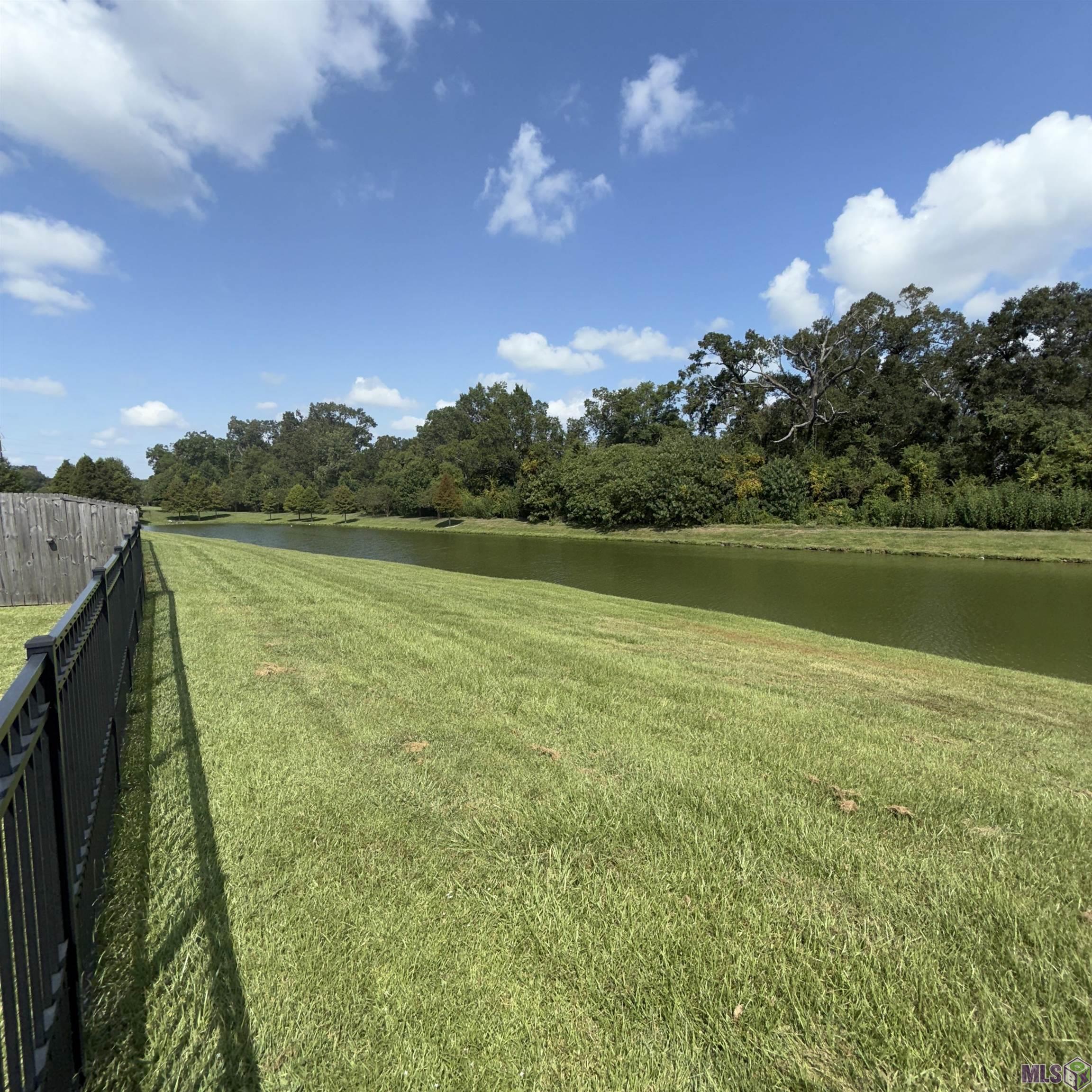 38461 Brown Road Prairieville, LA 70769 - Photo 10 of 39 Gallery Image 10