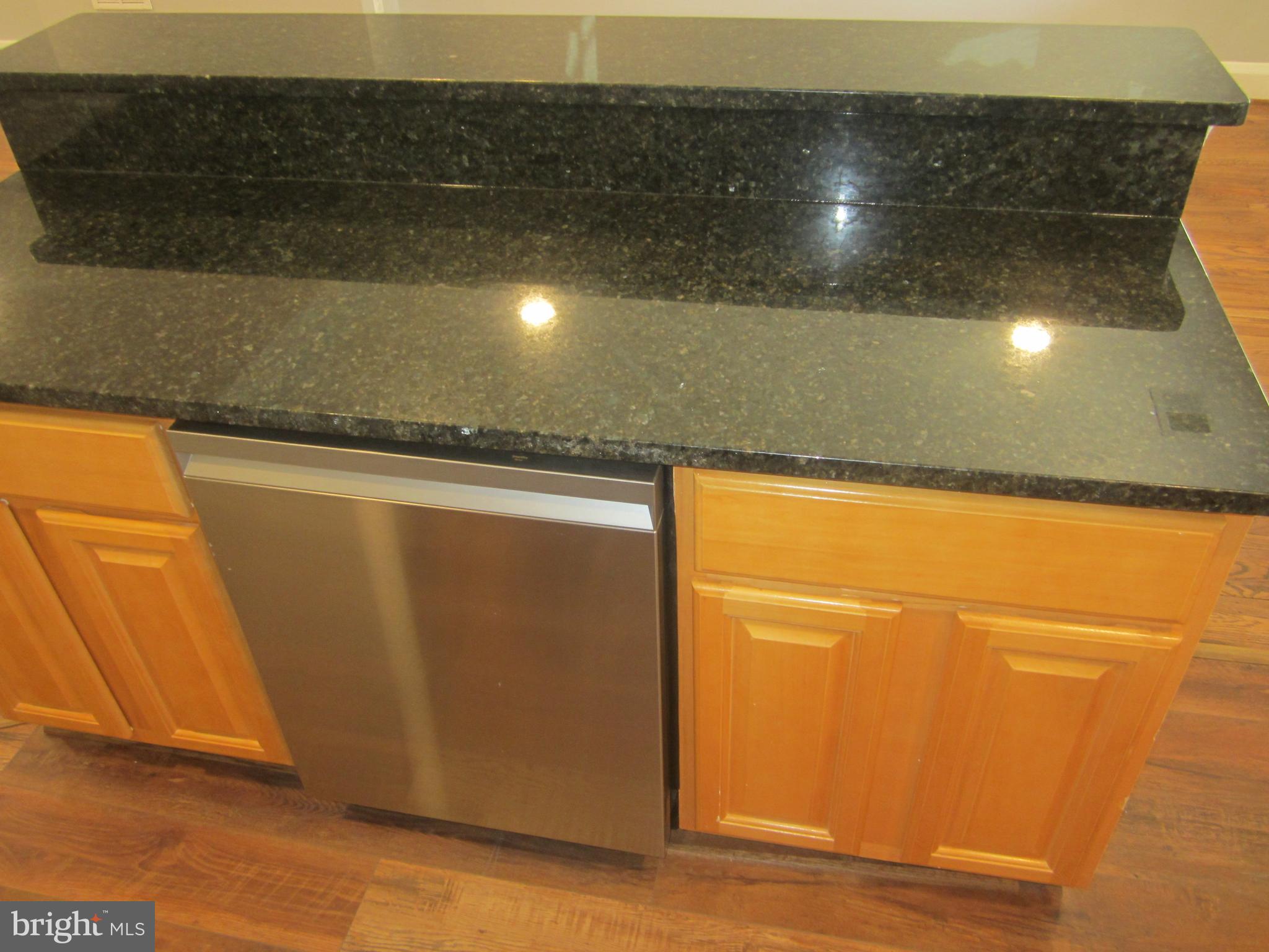3 South Rosedale Street Baltimore, MD 21229 - Photo 9 of 29 Dishwasher in Kitchen
