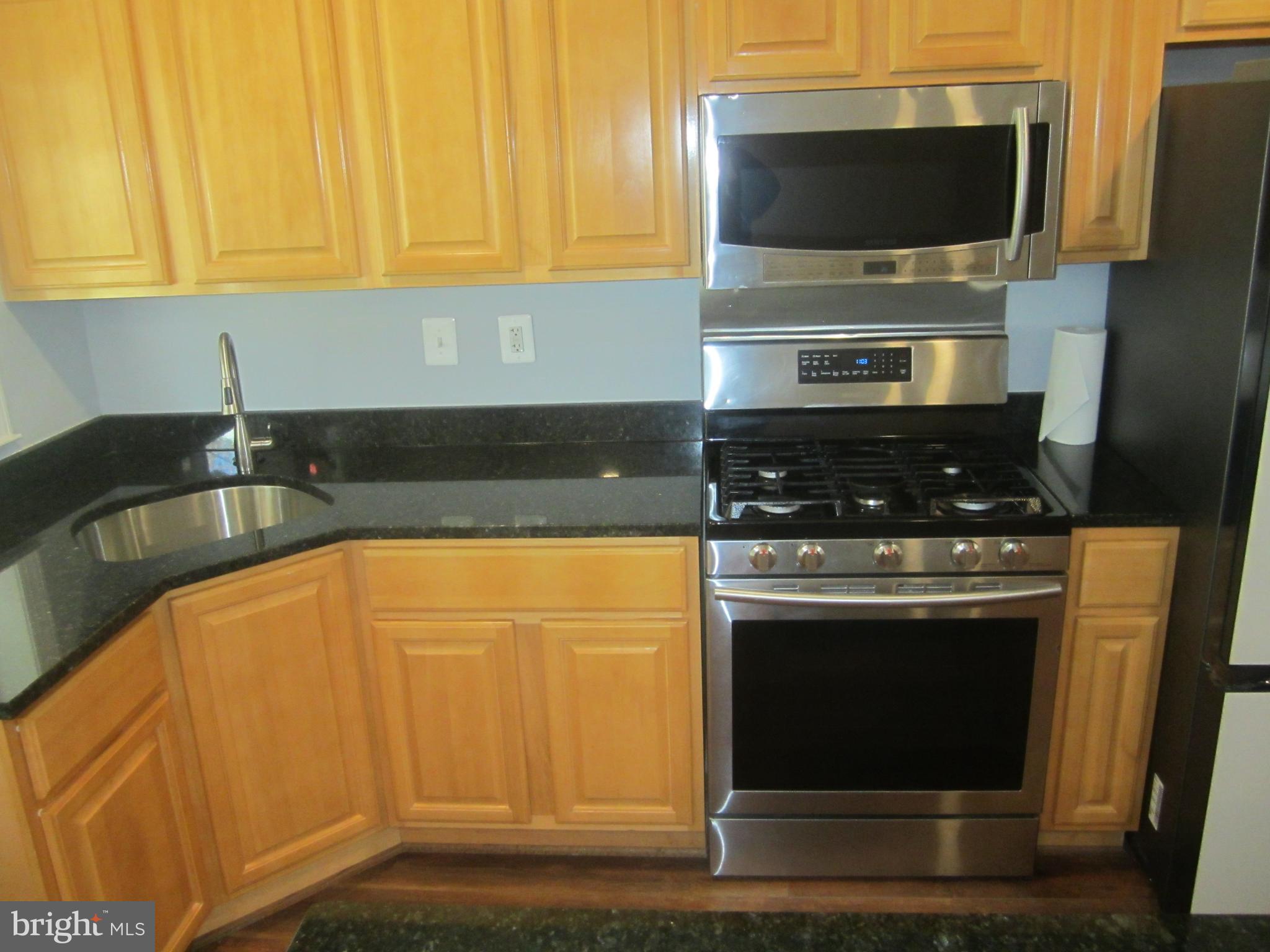 3 South Rosedale Street Baltimore, MD 21229 - Photo 10 of 29 Kitchen close up
