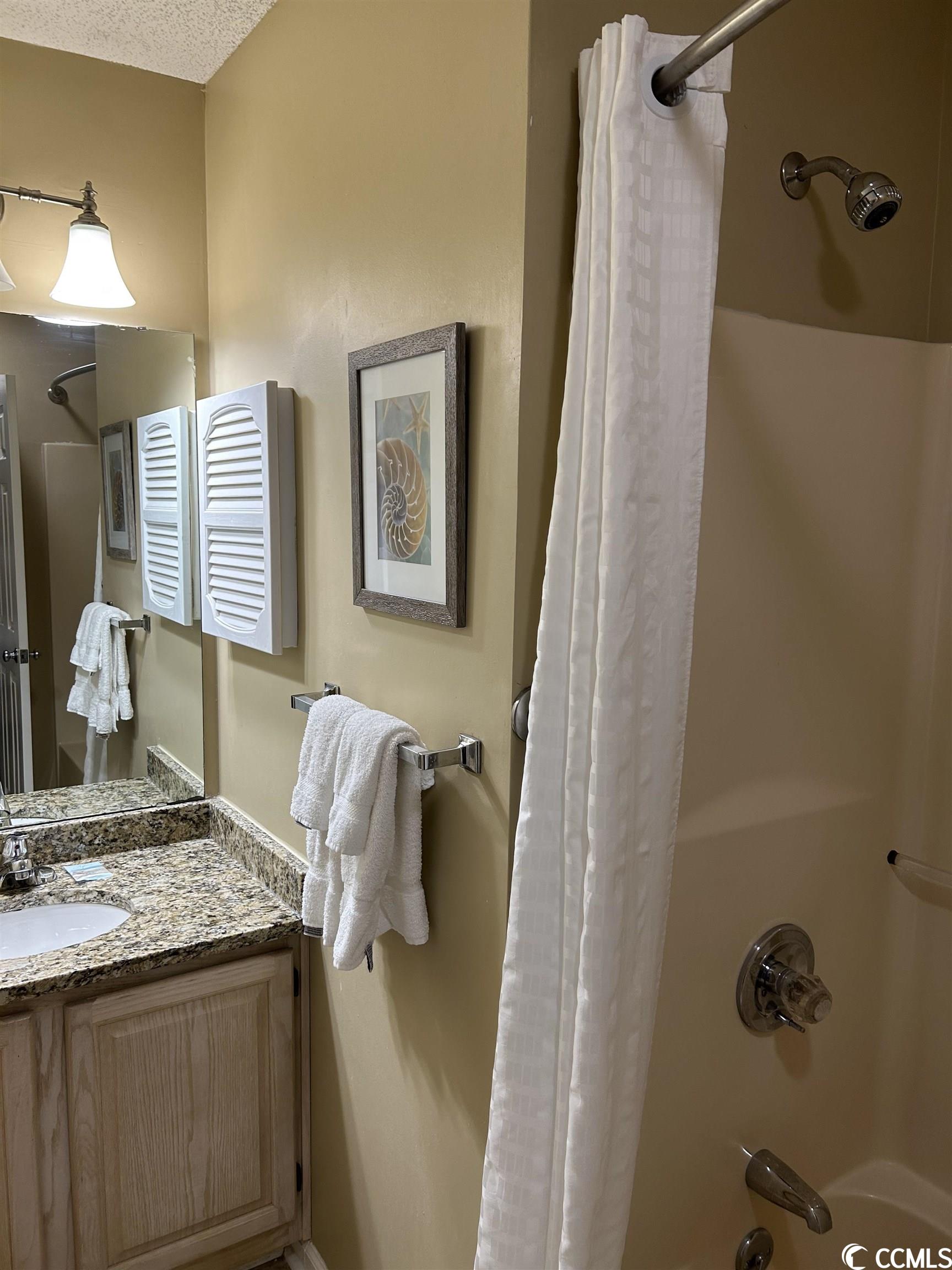 229 Double Eagle Drive Surfside Beach, SC 29575 - Photo 9 of 11