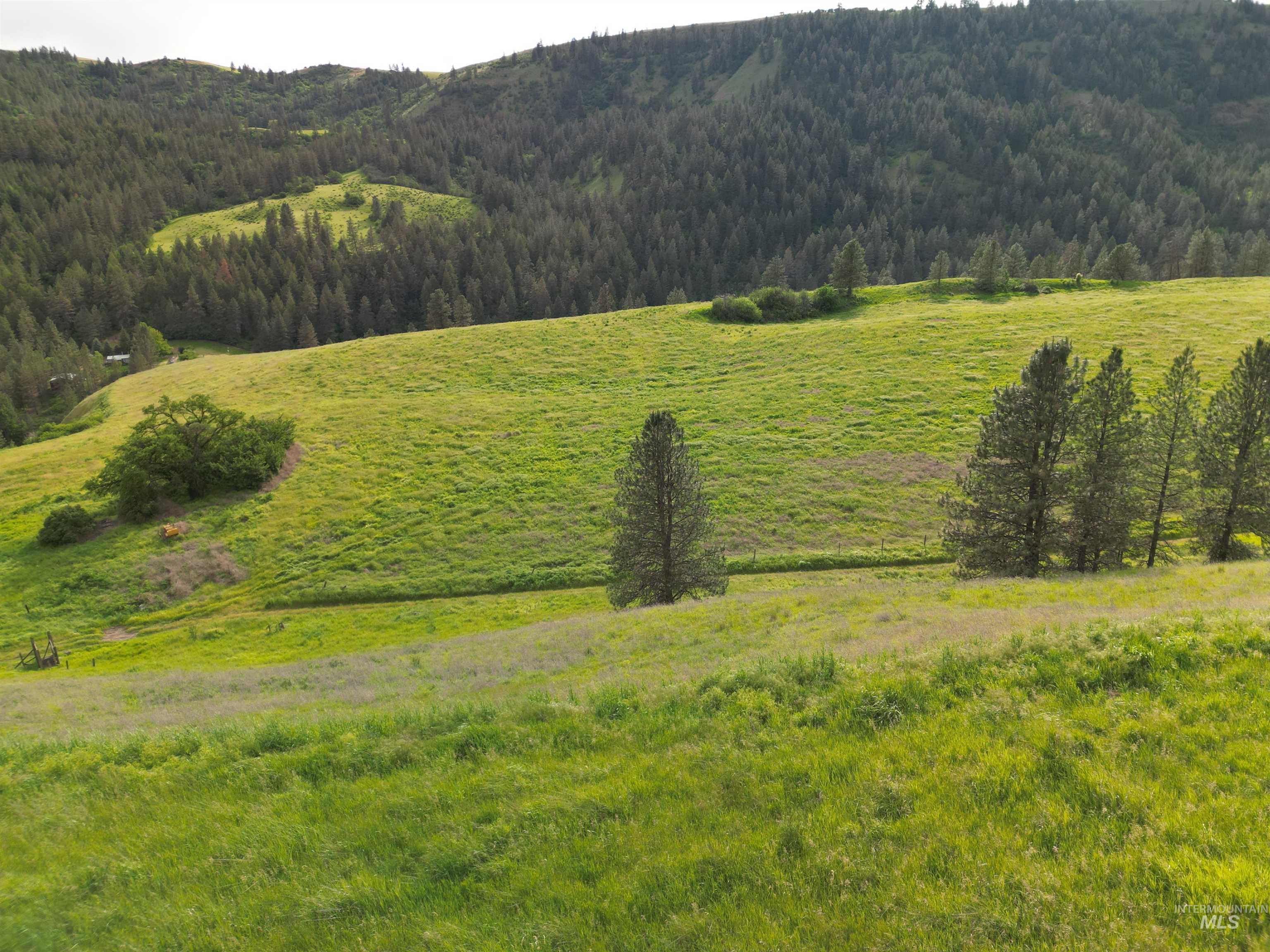 0 American Ridge Road Kendrick, ID 83537 - Photo 24 of 25