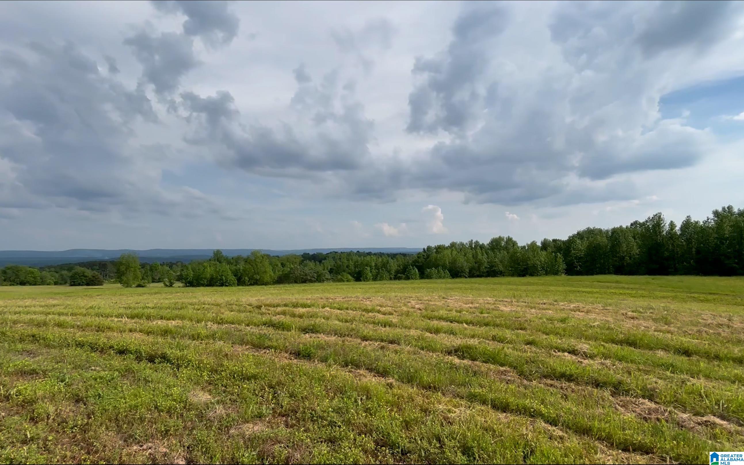 1895 Marvin Adcock Road, Unit 9 ACRES Hayden, AL 35079 - Photo 13 of 18