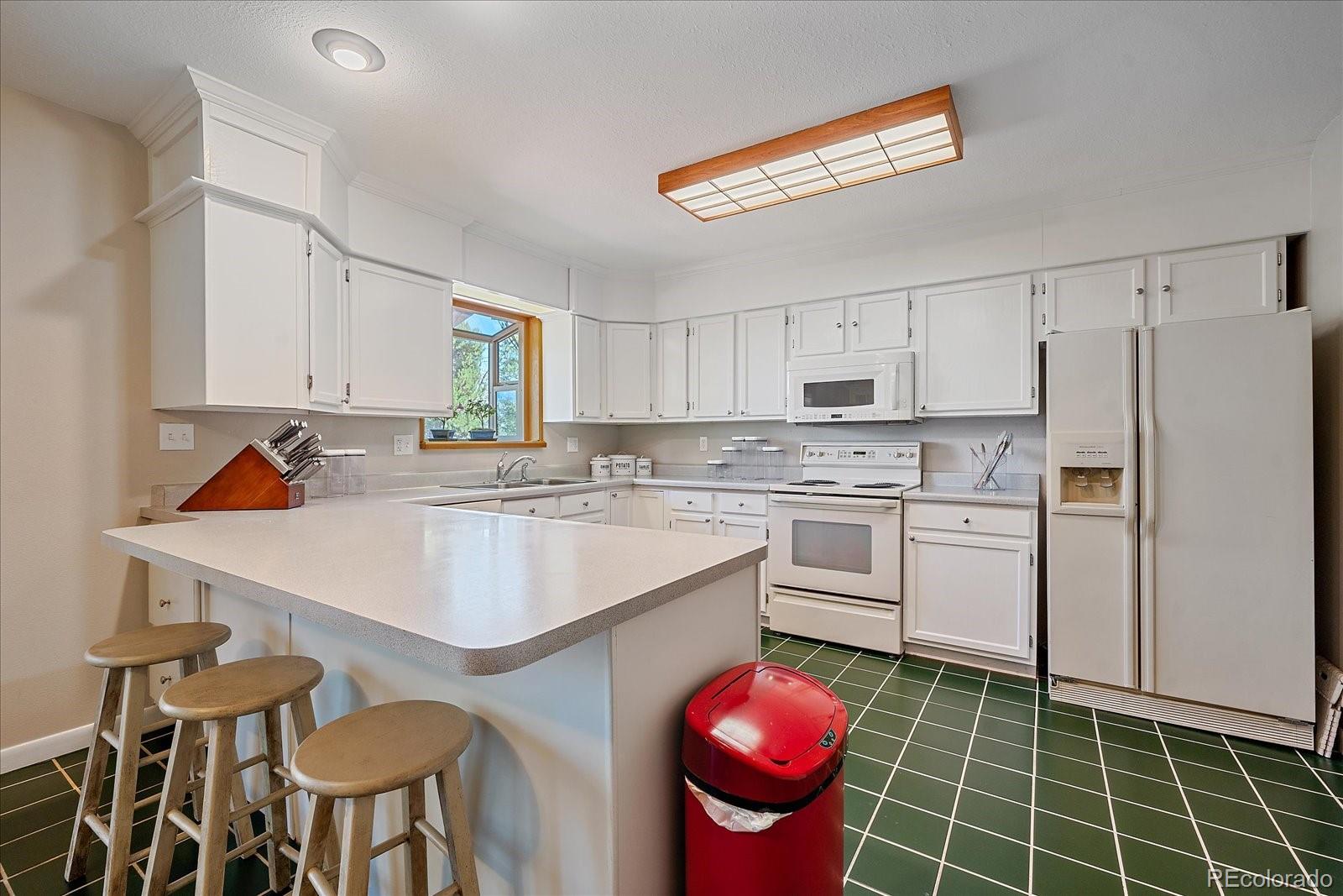 9730 South Warhawk Road Conifer, CO 80433 - Photo 11 of 42