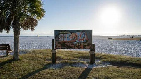 a view of an ocean beach