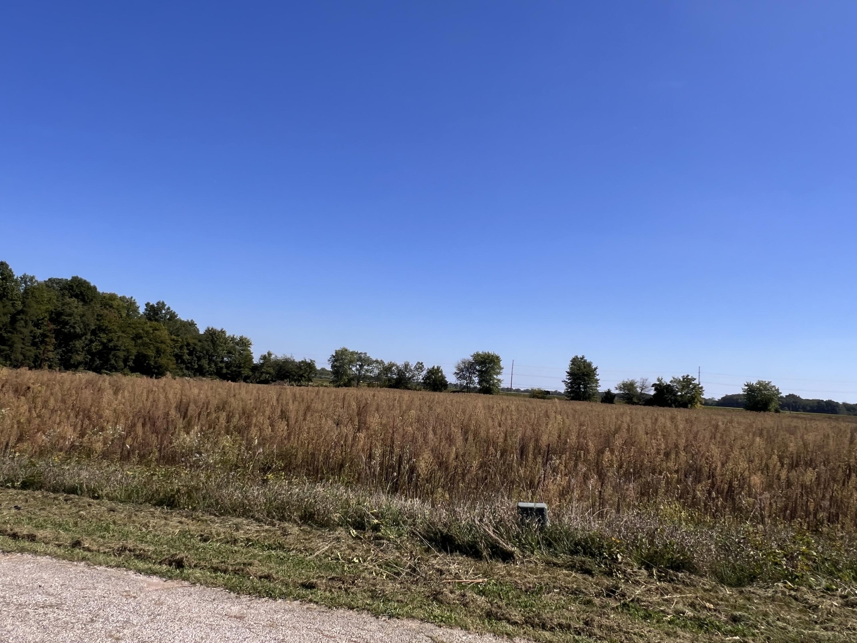 Lot 16 South Morgan Road La Porte, IN 46350 - Photo 3 of 5 a view of a lake with houses in the background