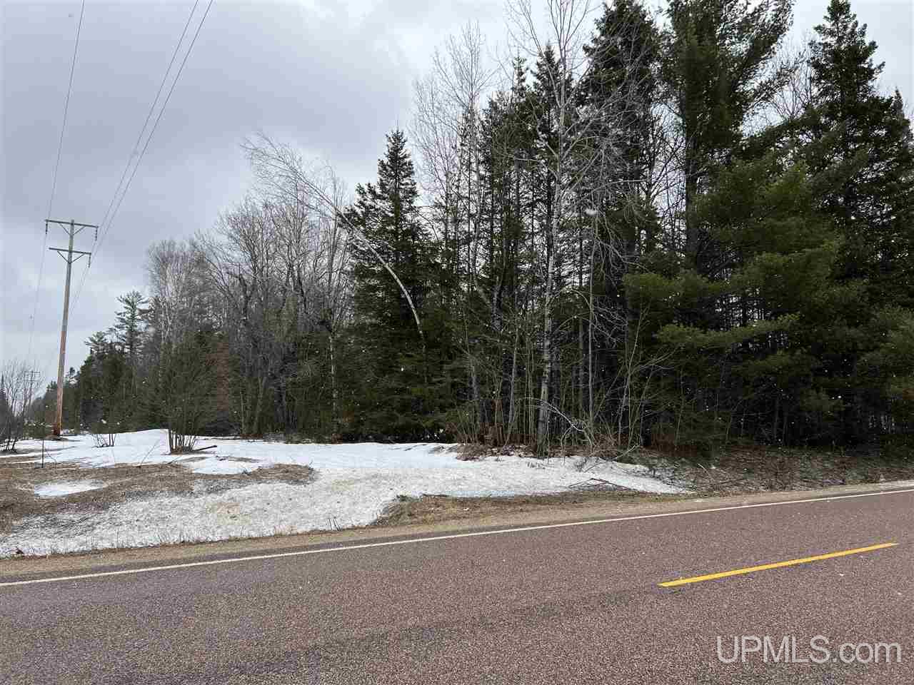Tbd Tbd H-15 Shingleton, MI 49884 - Photo 19 of 23