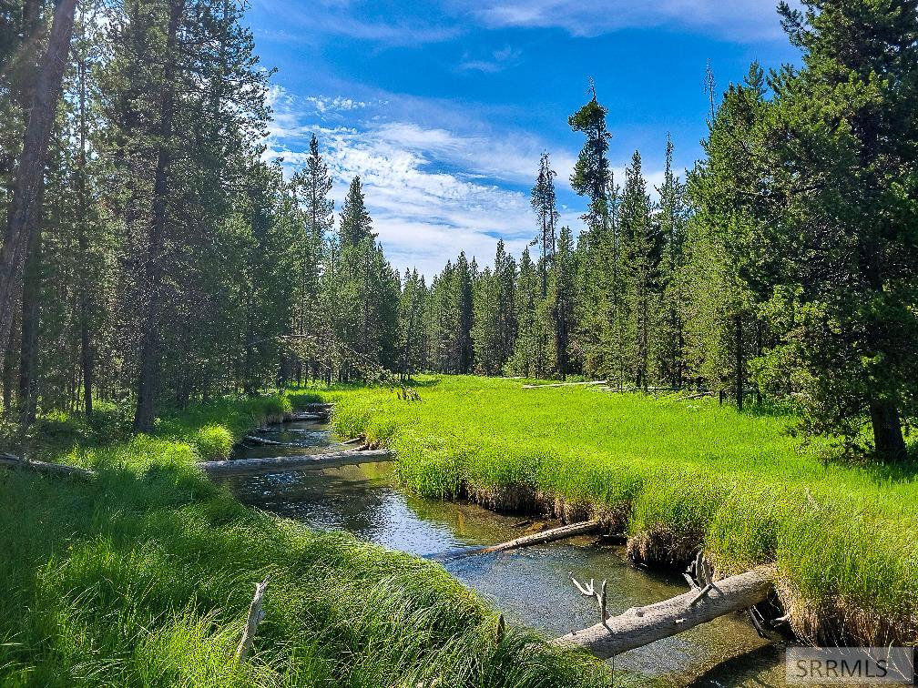 Tbd Fish Creek Road Island Park, ID 83429 - Photo 1 of 1 Main View