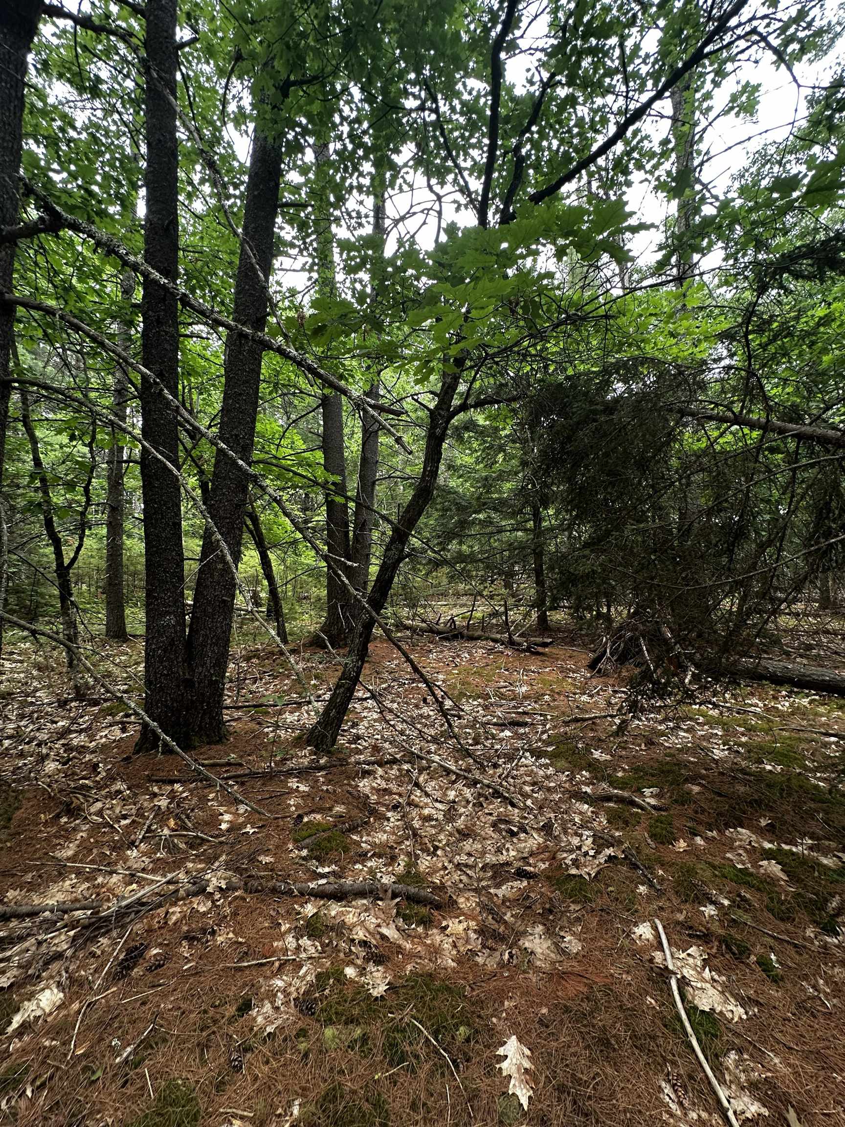877 North Barnstead Road Barnstead, NH 03225 - Photo 5 of 12