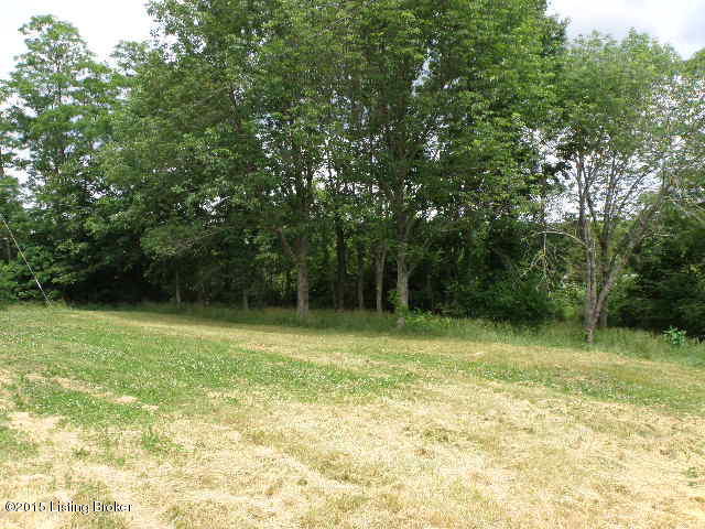 1405 Van Buren Road Mount Eden, KY 40046 - Photo 5 of 11 P5280005