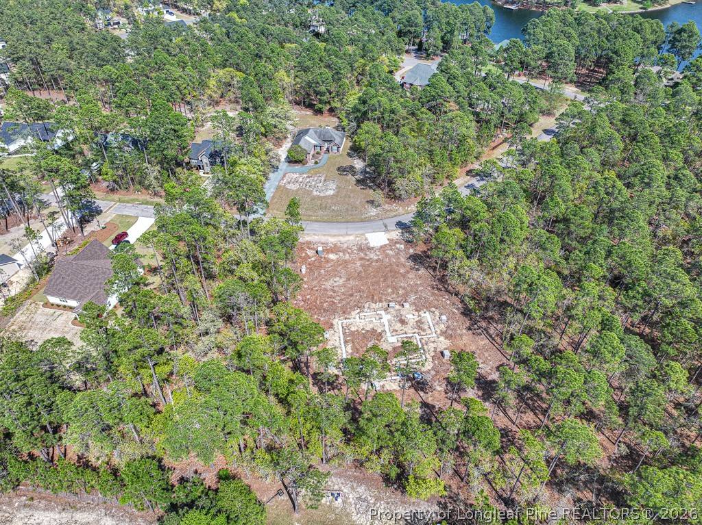 15640 Raccoon Run Road Wagram, NC 28396 - Photo 11 of 17 a view of a yard with pathway