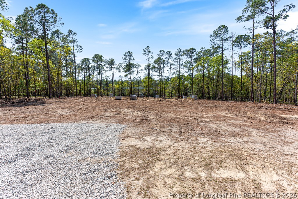 15640 Raccoon Run Road Wagram, NC 28396 - Photo 15 of 17 a view of a grassy area with trees