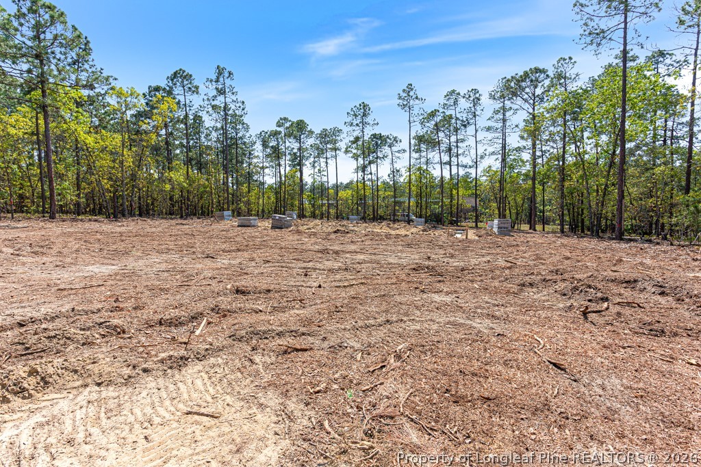 15640 Raccoon Run Road Wagram, NC 28396 - Photo 16 of 17 a big yard with trees in the background