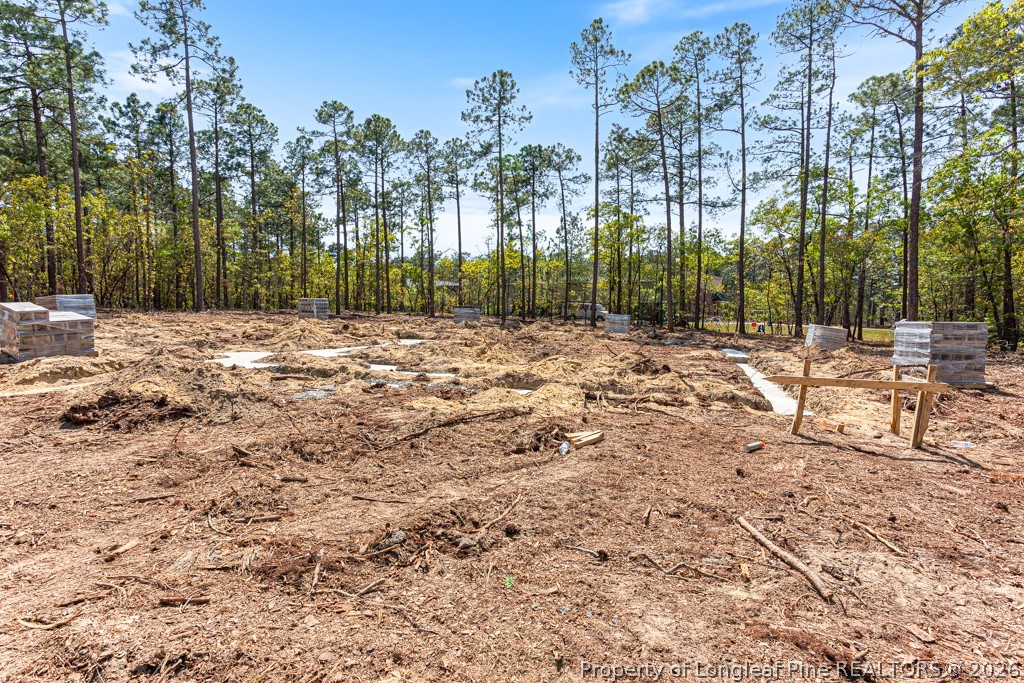 15640 Raccoon Run Road Wagram, NC 28396 - Photo 17 of 17 a view of a yard with trees