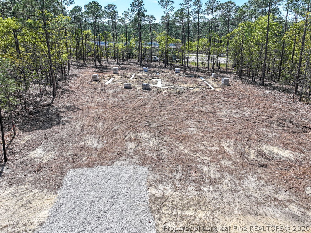 15640 Raccoon Run Road Wagram, NC 28396 - Photo 3 of 17 a view of outdoor space with trees