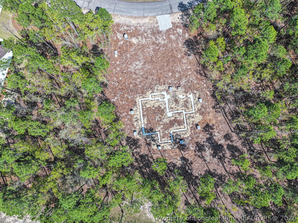 15640 Raccoon Run Road Wagram, NC 28396 - Photo 9 of 17