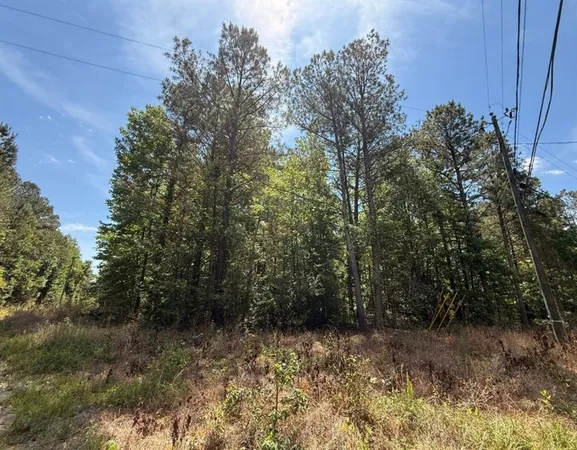 a view of a yard with trees