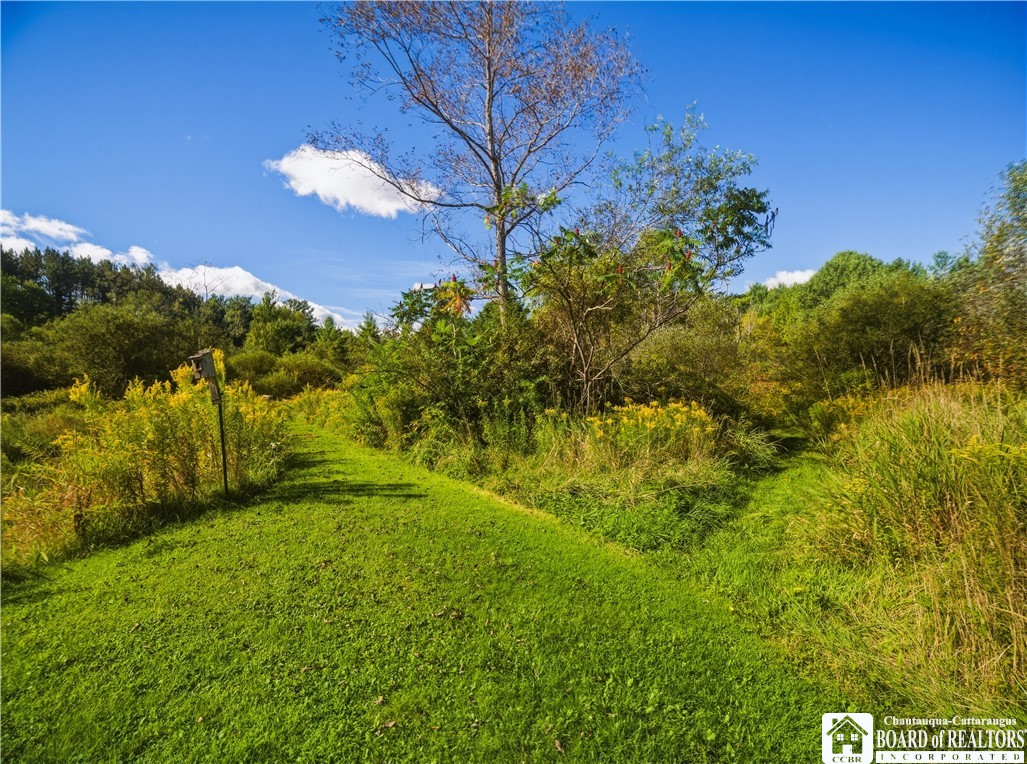 757 Page Road Carroll, NY 14738 - Photo 32 of 34 Gallery Image 32