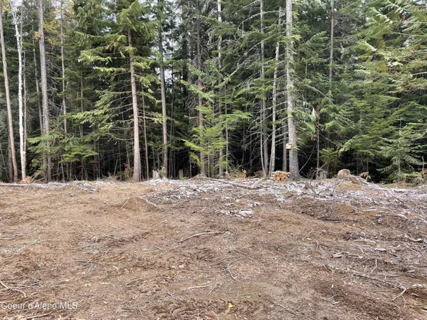 $189,000 | Nka Christmas Lane, Naples, ID 83847