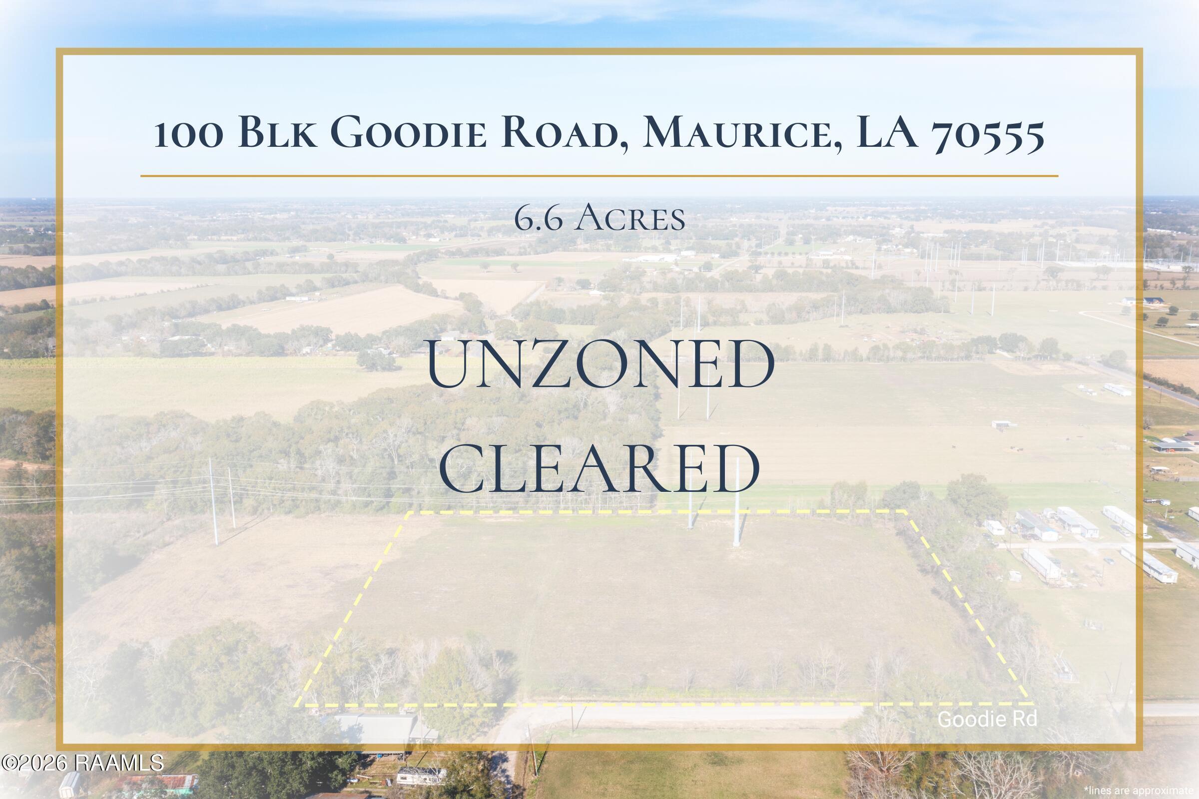 100 Goodie Road Maurice, LA 70555 - Photo 2 of 7