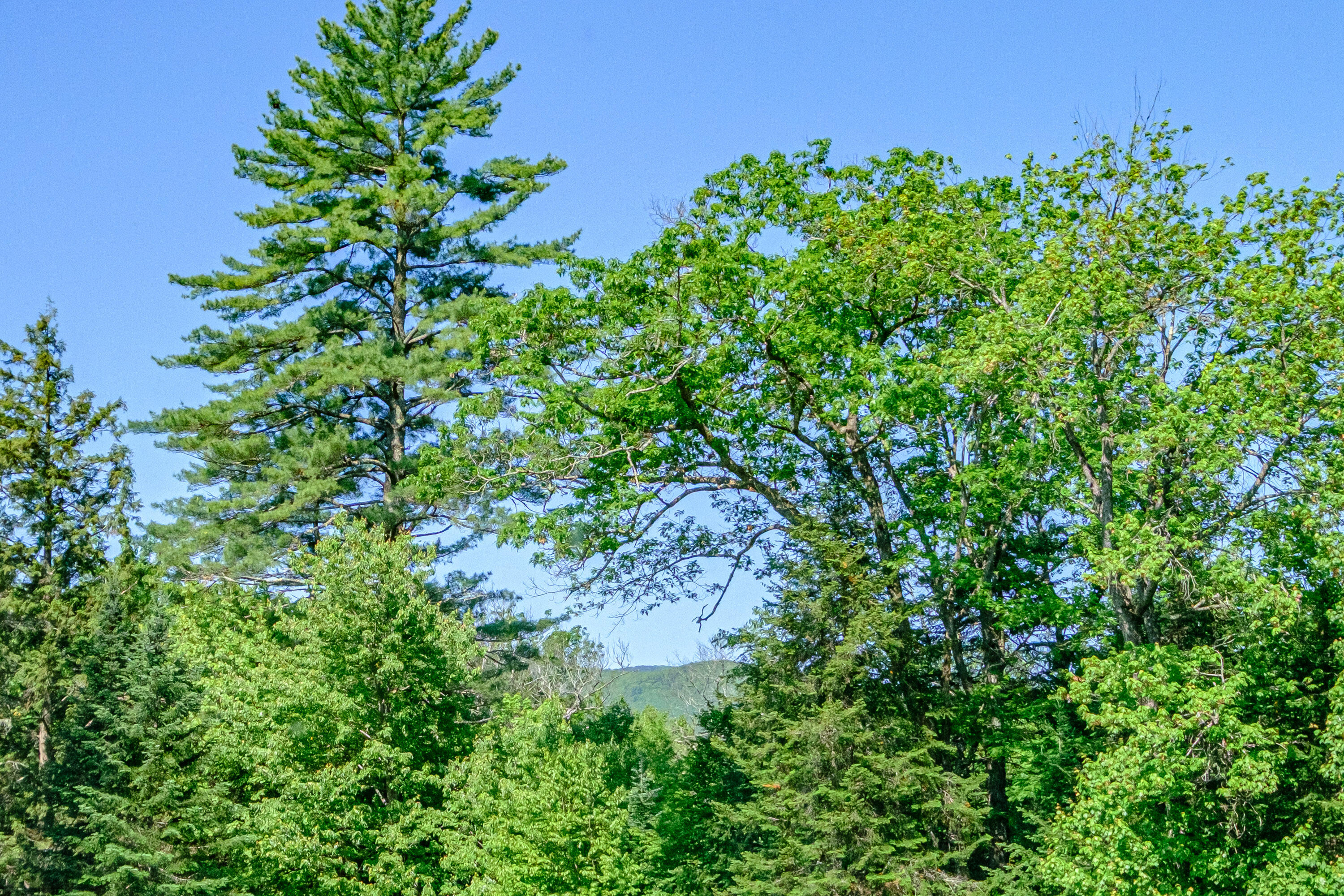 292 Union Hill Road Stow, ME 04037 - Photo 43 of 47 Peek A Boo Mountain Views
