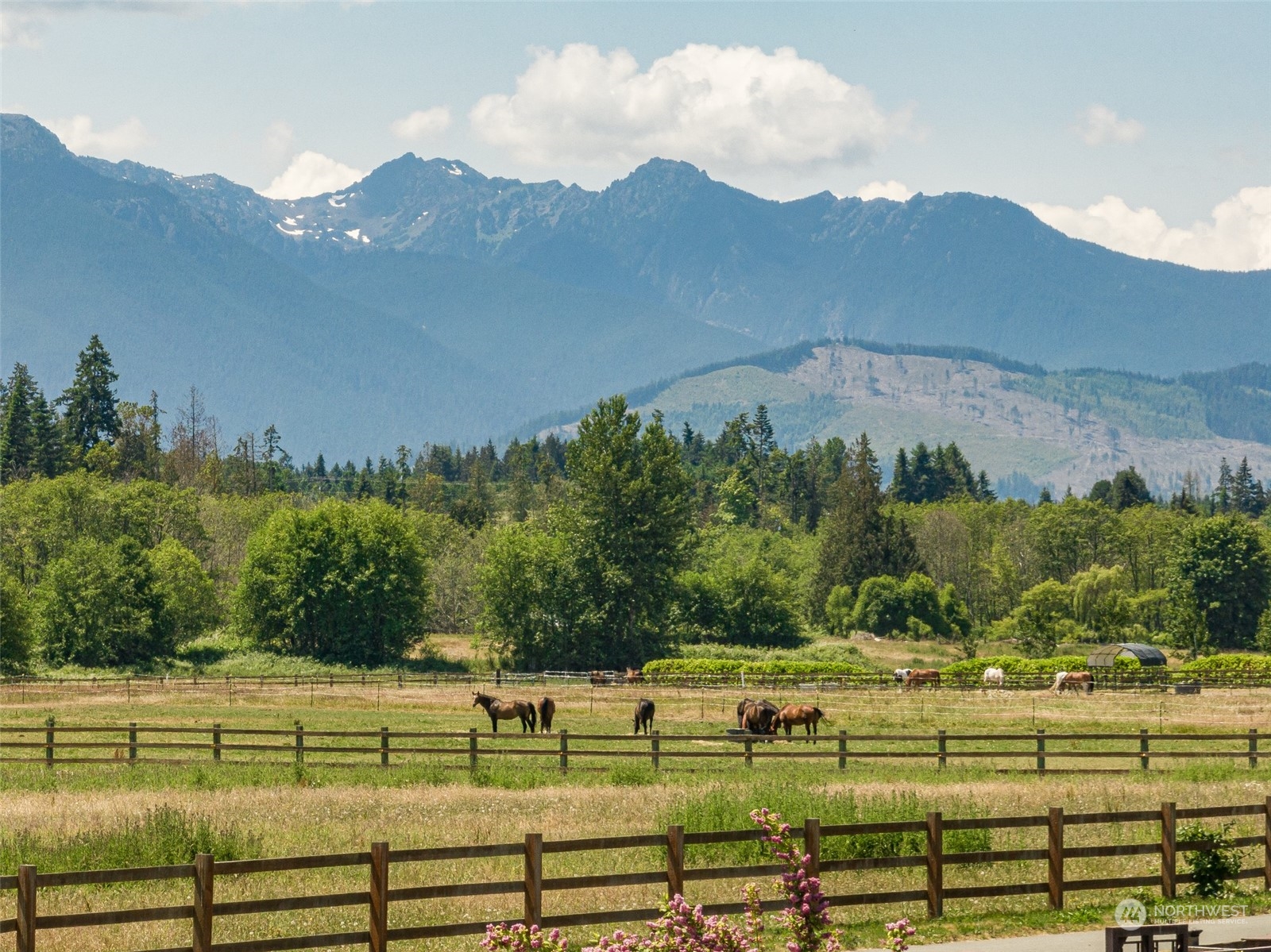 411 Shore Road Port Angeles, WA 98362 - Photo 36 of 40 Gallery Image 36
