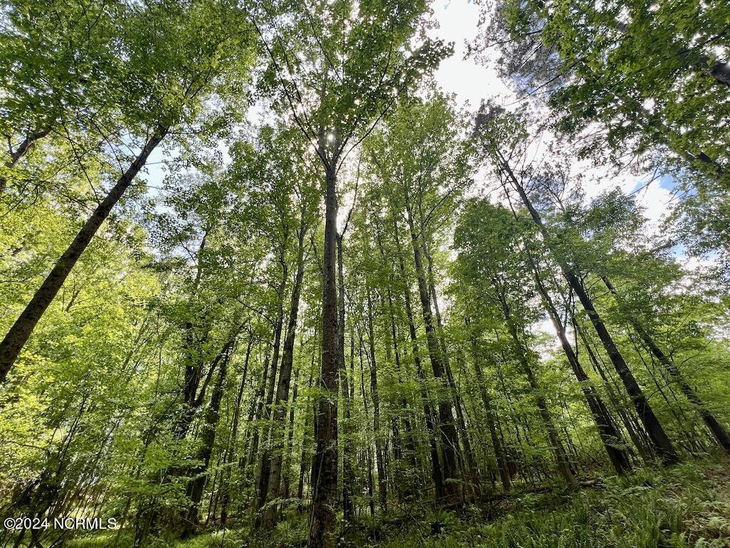 0 Buck Road Middlesex, NC 27557 - Photo 21 of 51 011