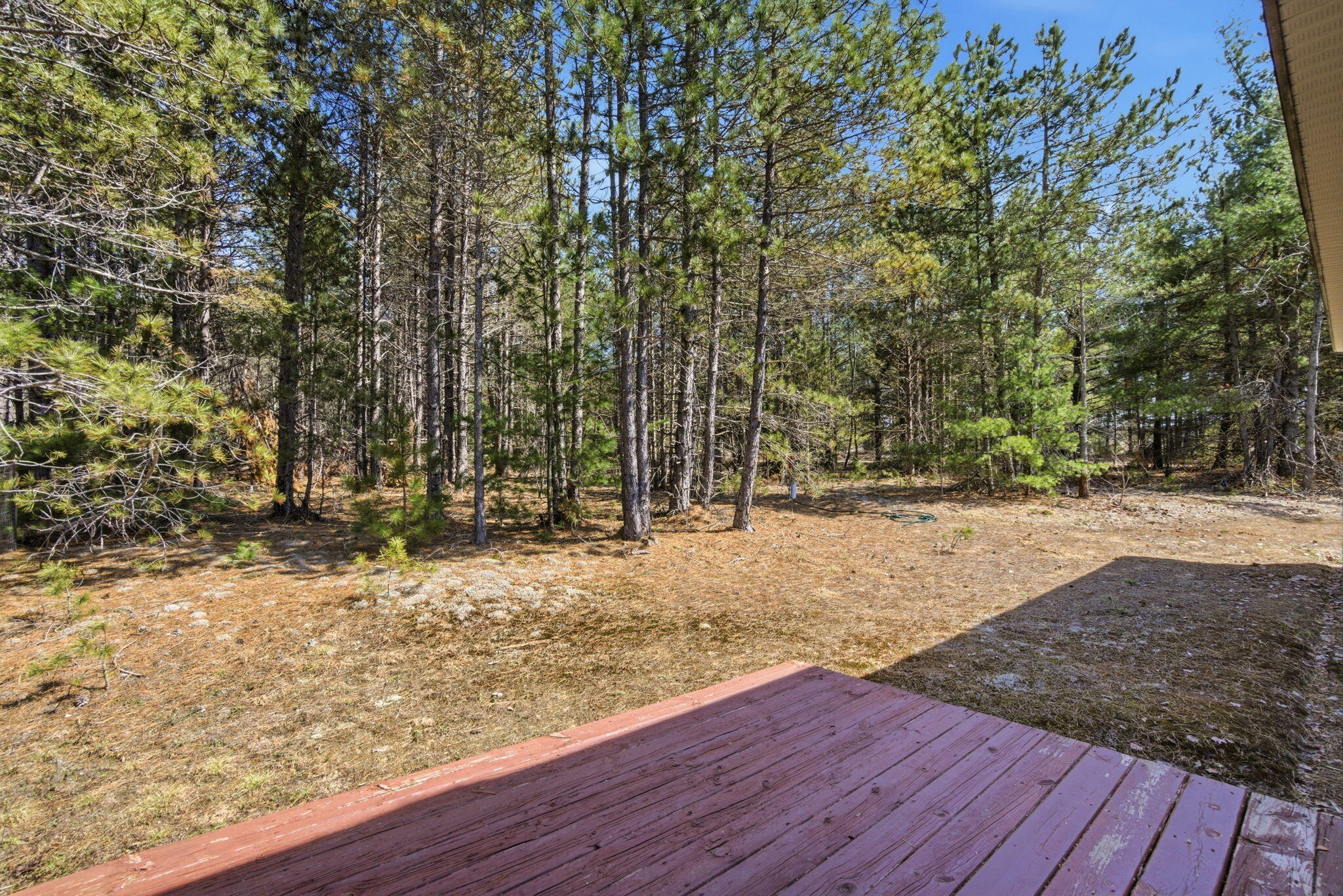 10262 North Black River Road Cheboygan, MI 49721 - Photo 33 of 41 Deck & Yard