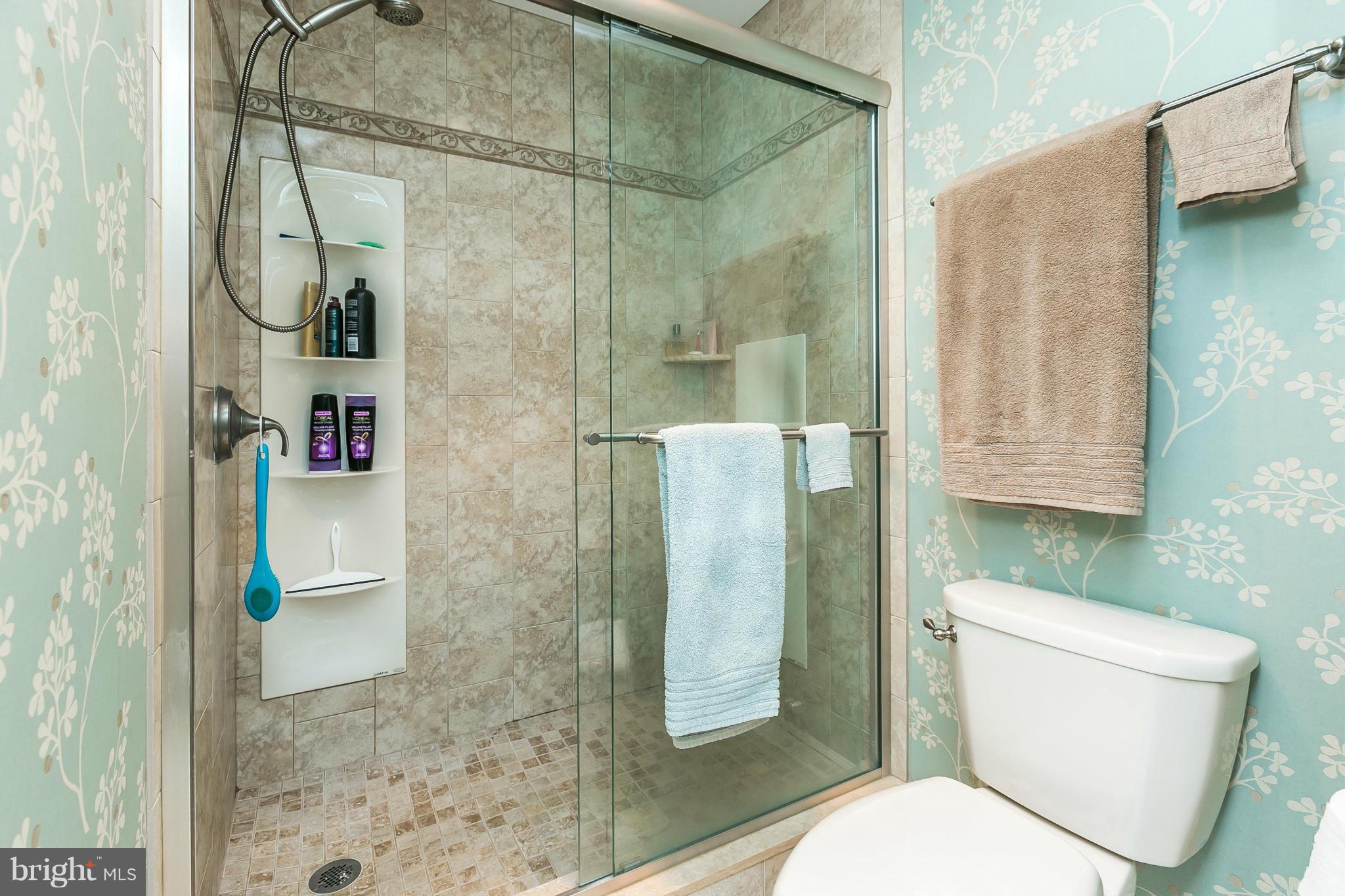 10713 Pot Spring Road Hunt Valley, MD 21030 - Photo 21 of 30 Private flush and Shower