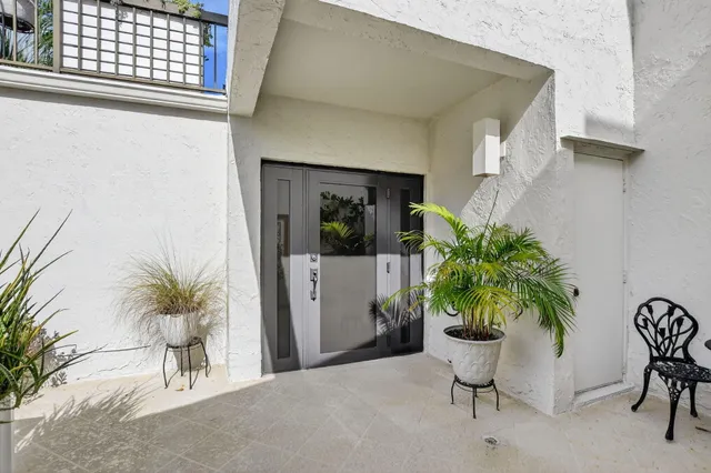 a potted plant sitting in front of a house