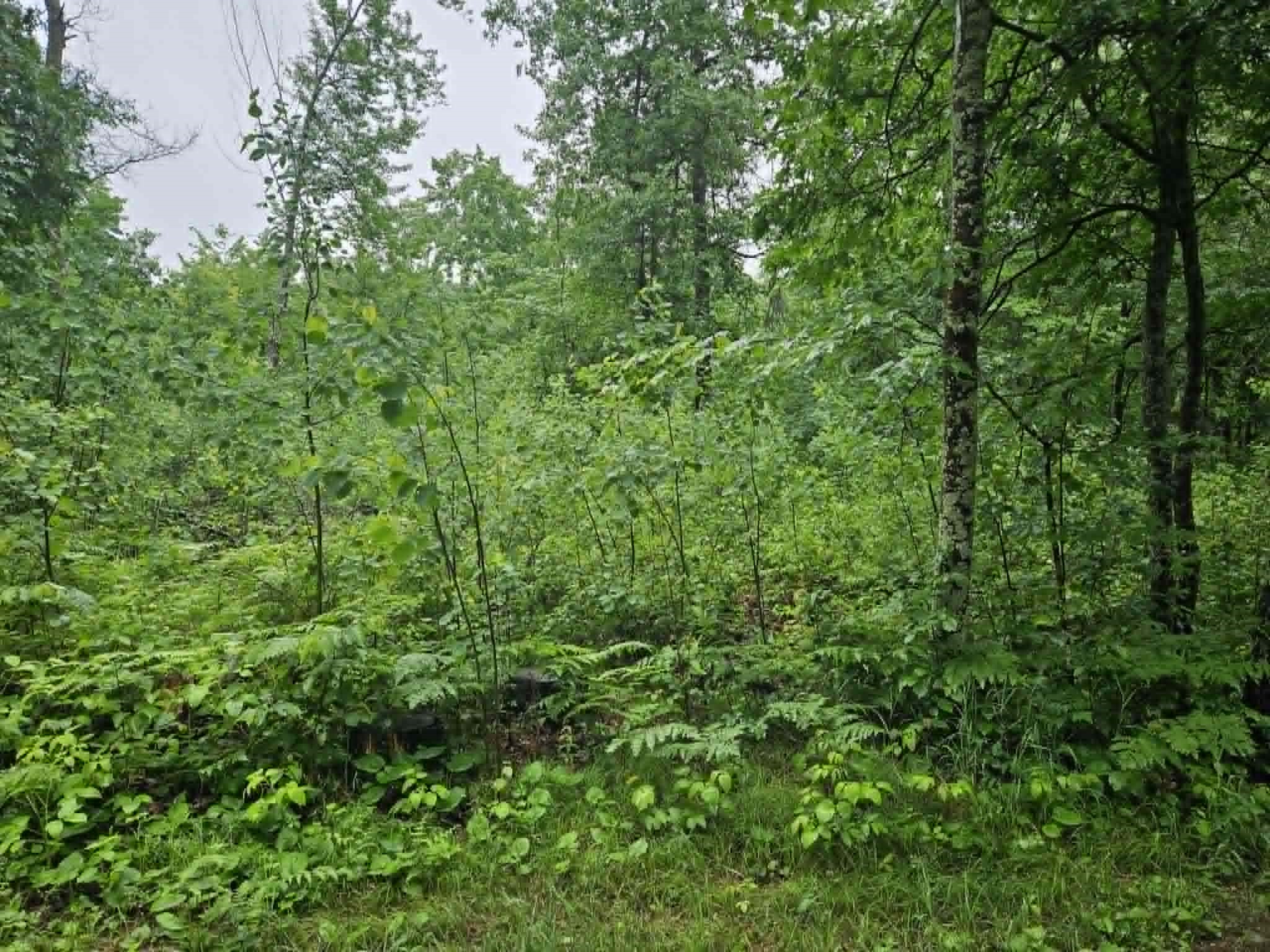 Lot 1 Hilly Lane Spooner, WI 54801 - Photo 1 of 4