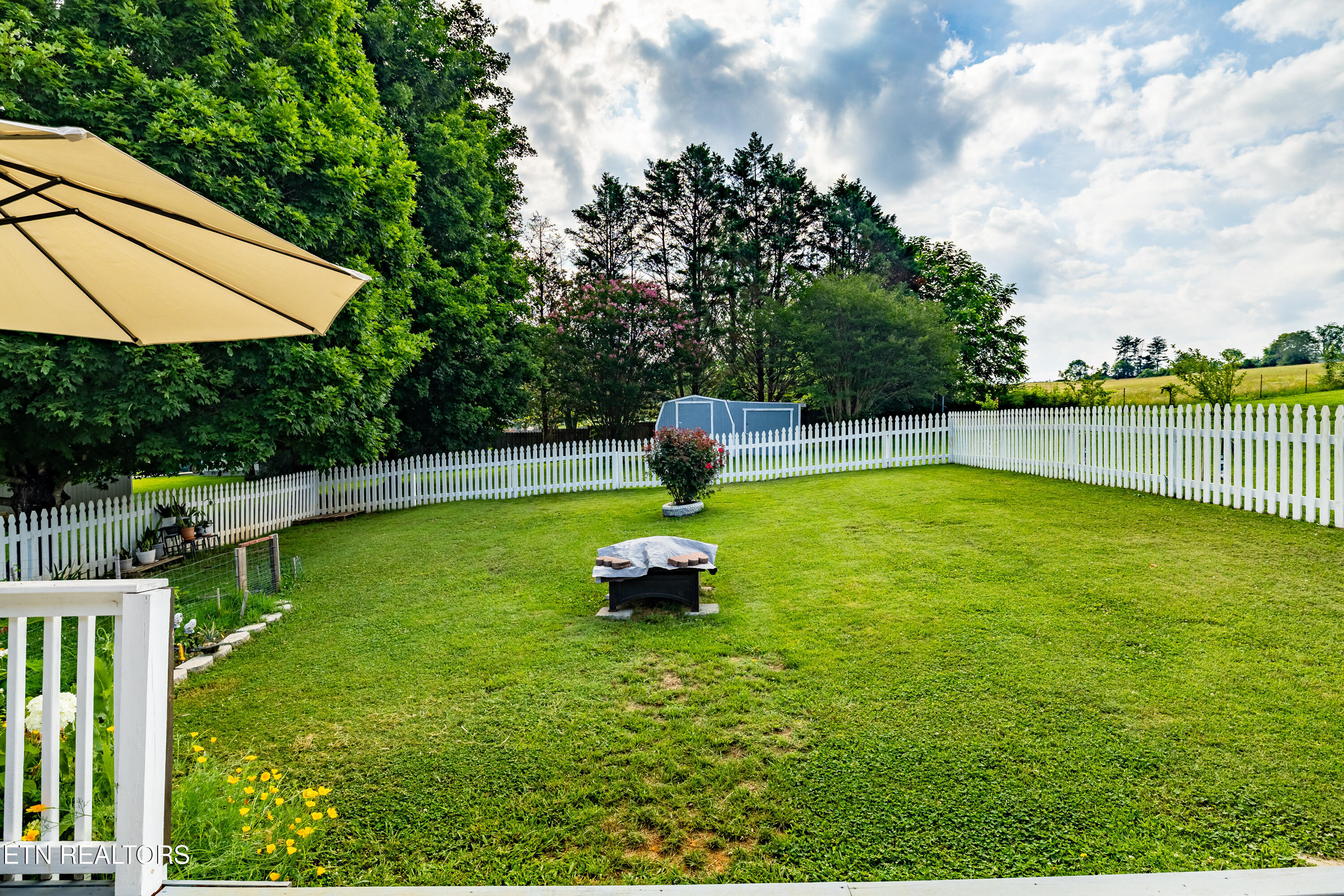 548 Hiwassee Road Madisonville, TN 37354 - Photo 5 of 35 Fenced yard