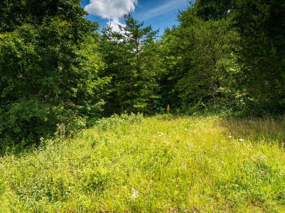 0 McGhee Road Greenback, TN 37742 - Photo 25 of 40