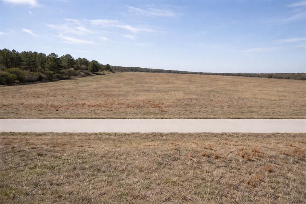 6001 Conifer Court Poolville, TX 76487 - Photo 2 of 9 View from street