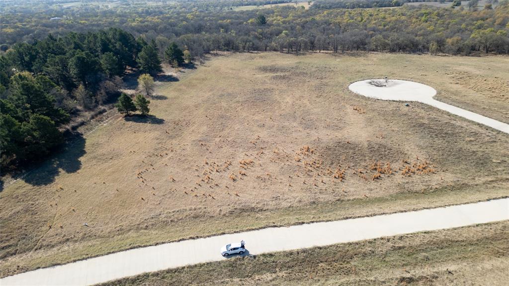 6001 Conifer Court Poolville, TX 76487 - Photo 3 of 9