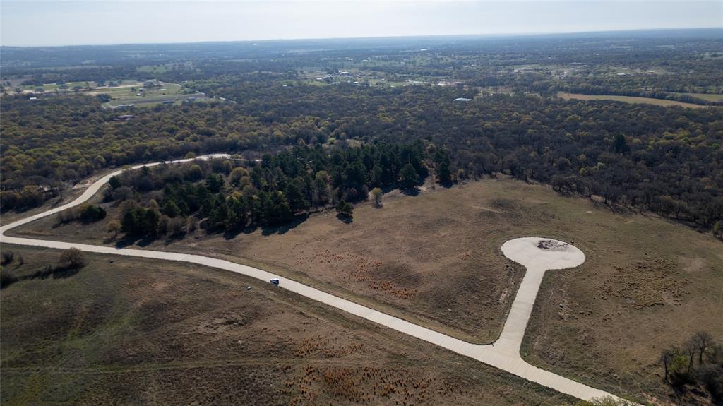6001 Conifer Court Poolville, TX 76487 - Photo 4 of 9