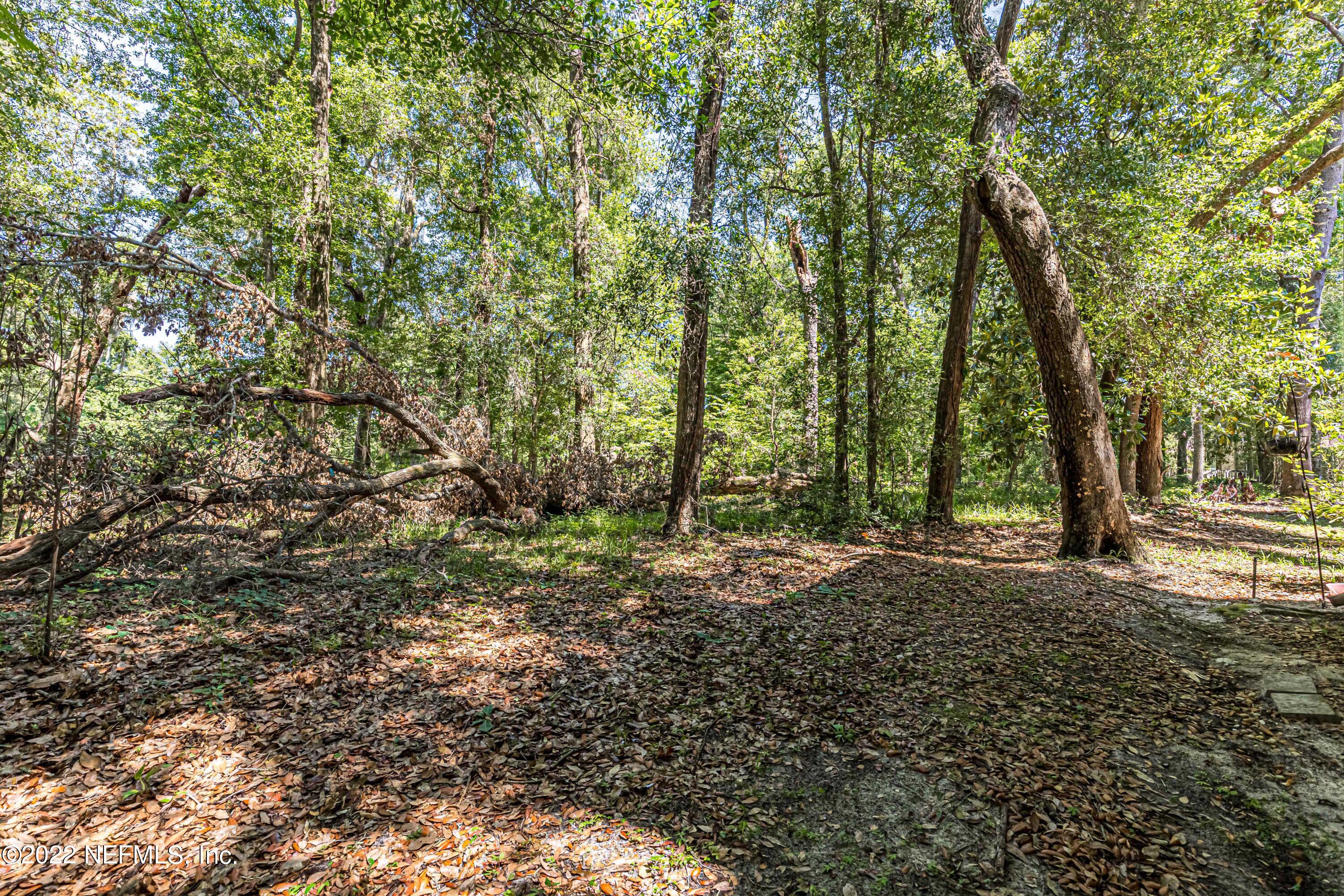 2960 Ravines Road, Unit 1305 Middleburg, FL 32068 - Photo 36 of 36 35-Rear View