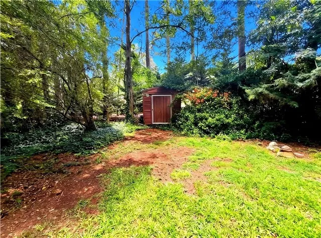 a view of a yard with plants and trees